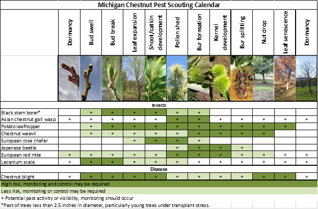 Michigan Chestnut pest scouting calendar